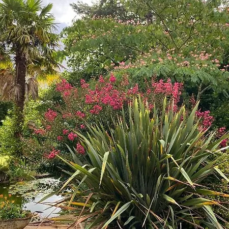 Homestay Au Bon Endroit