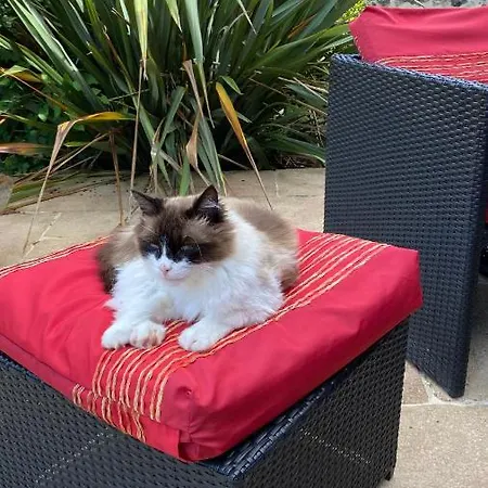 Au Bon Endroit Accommodatie bij particulieren Sevremont