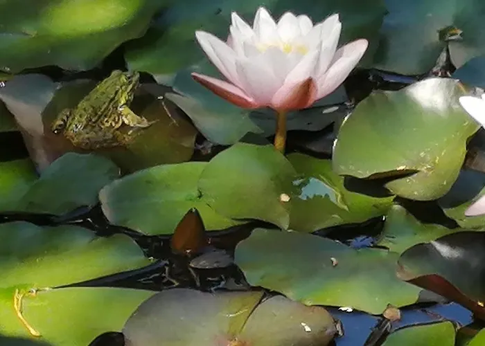 Alloggio in famiglia Au Bon Endroit